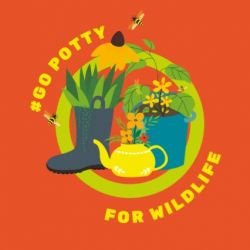 Summer Reading Challenge with Derbyshire Wildlife Trust