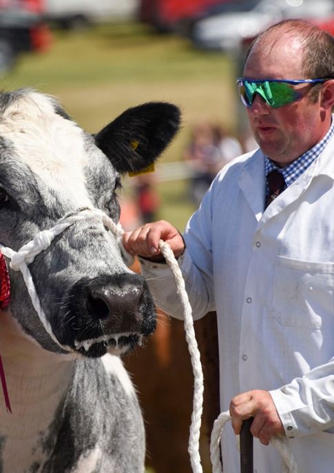 Derbyshire County Show 2019