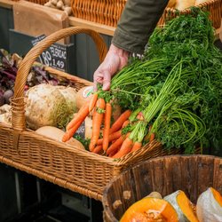 Image 2 for Martins Fruits