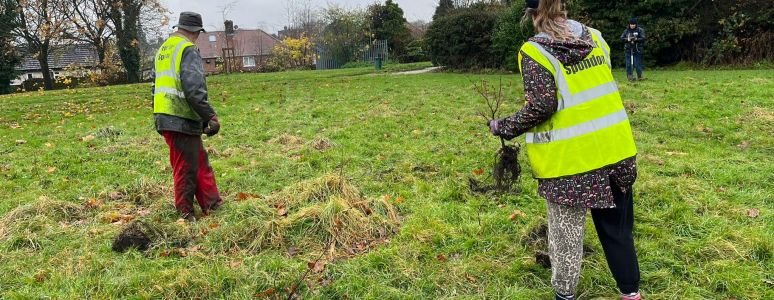 man digging up ground to plant a tree