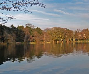 Image for link to Allestree Park