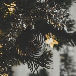 Cathedral Carol Services