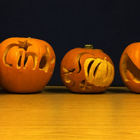 Pumpkins-website-image.png