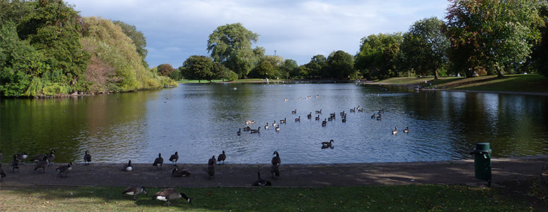 Alvaston Park lake