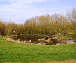Image for link to Nature Reserve
