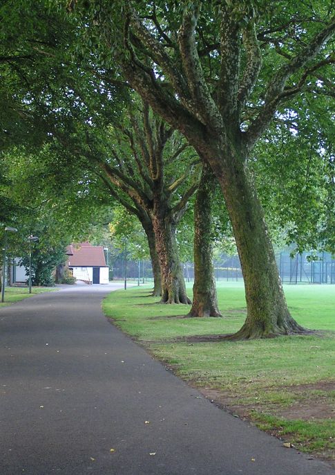 Friends of Normanton Park Bin Dressing