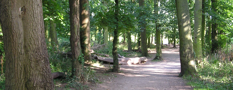 Markeaton Park Redevelopment 2015