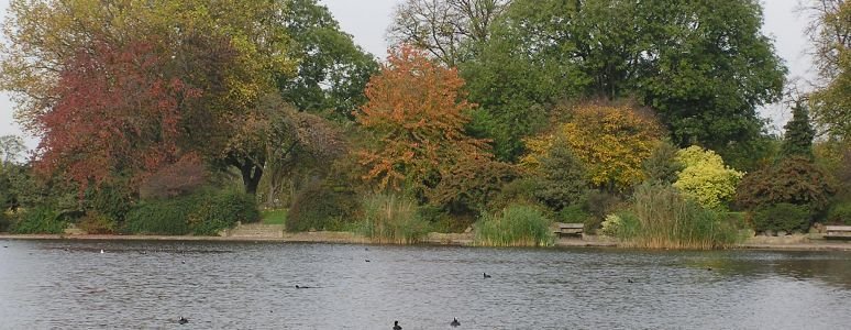 Alvaston Park in Autumn