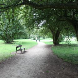 Orienteering at Chaddesden Park