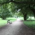 Orienteering at Chaddesden Park