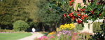 Picturesque walk around Markeaton Park Picturesque walk around Markeaton Park