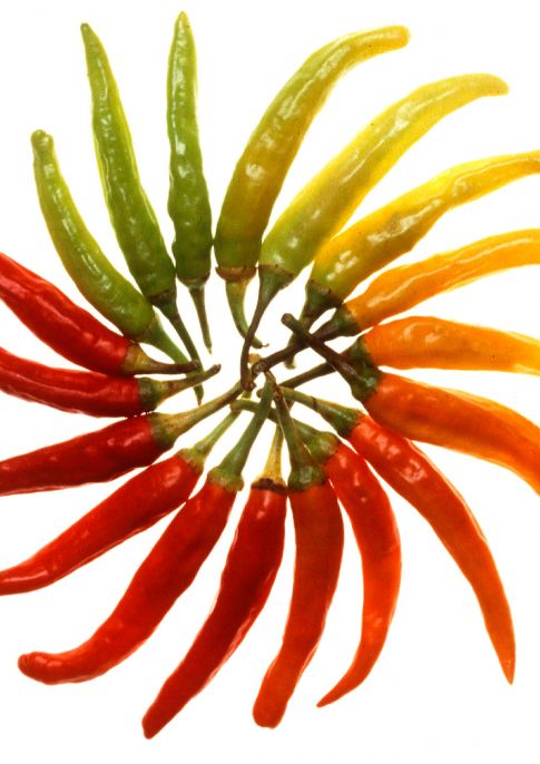 Derby Christmas Chilli Fiesta