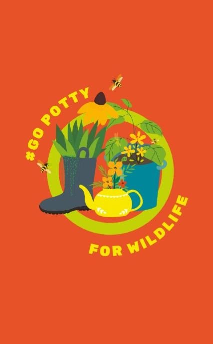 Summer Reading Challenge with Derbyshire Wildlife Trust