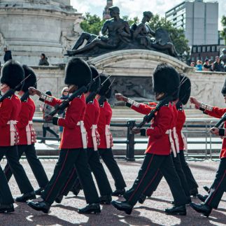 Live screening of King's Birthday and Trooping the Colour