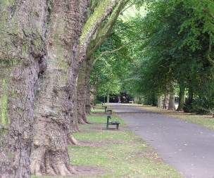 110th Birthday Bring and Share Picnic in the Park