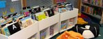 Springwood Library childrens library selection