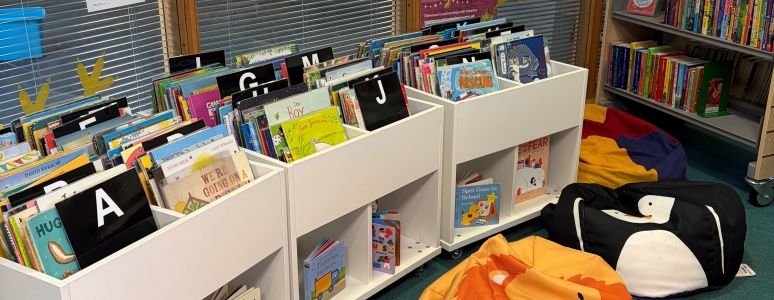 Springwood Library childrens library selection