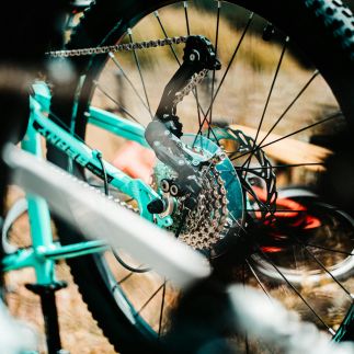 The Bike Festival