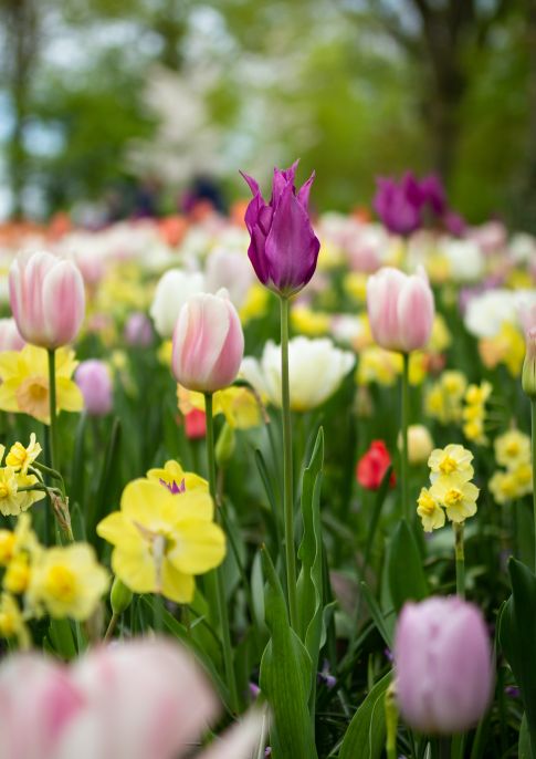 Seasonal Gardening talk with Jeff Bates 