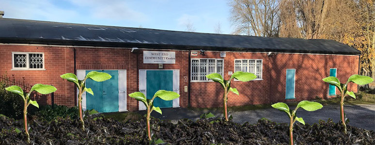 Green Shoots of Recovery at West End Community Centre