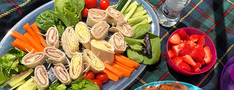 Picnic lunch spread