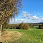 Image for Rewilding of Allestree Park awarded £1.1 million to deliver community’s vision