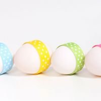 eggs_in_line.jpg