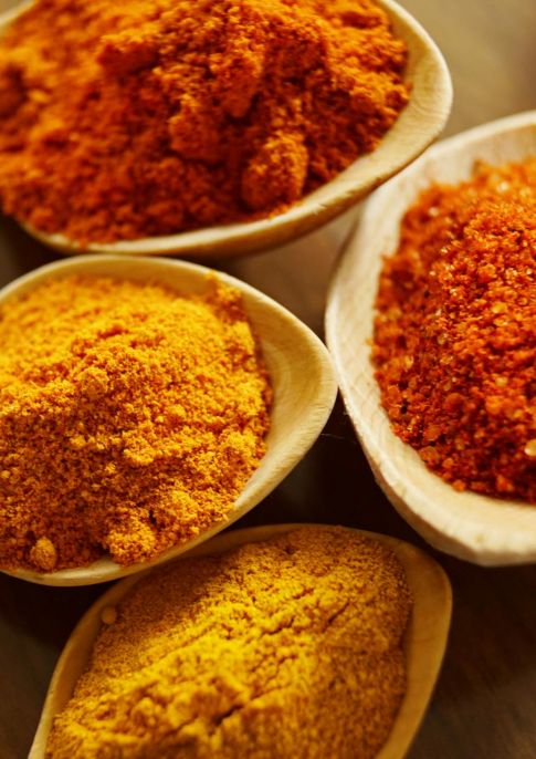 Spice painting art workshop