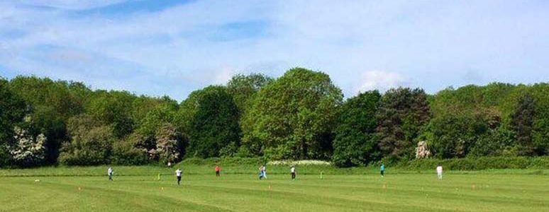 Cricket pitch