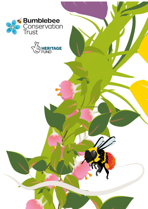 The Great Bilberry Bumblebee Hunt