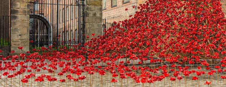 Iconic Poppy Sculpture Weeping Window Opens at the Silk Mill in