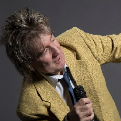 The Sounds of Rod Stewart