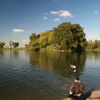 Alvaston_park_-_lake.jpg