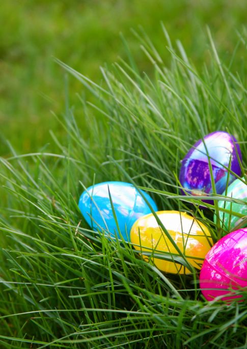 Easter Egg Hunt 2018