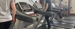 Springwood Leisure Centre gym people on treadmills