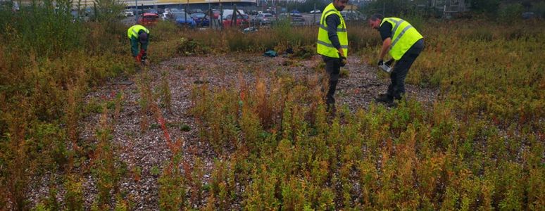 Derby Arena is in the background whilst two volunteers in hi-vis jackets work on a nature reserve.