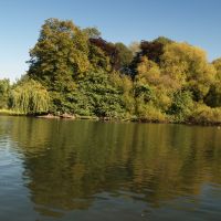 Alvaston_park_-_lake_2.jpg