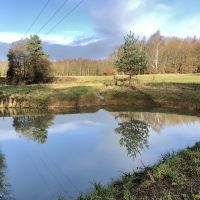 Allestree Burley Brook Pond Feb 2020.jpg