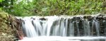 Waterfall at Darley Park