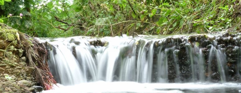 Waterfall at Darley Park