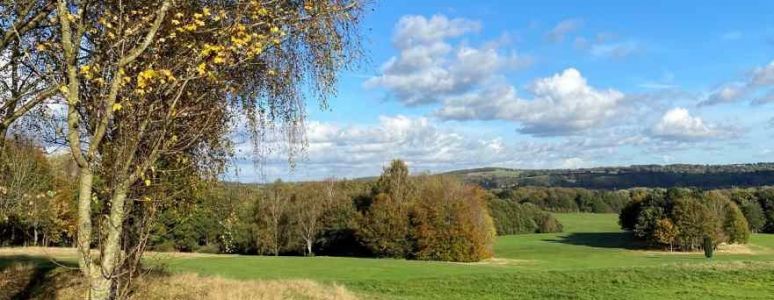 A view of Allestree Park as it looks now