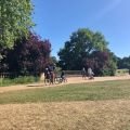 Darley Path 1.jpg