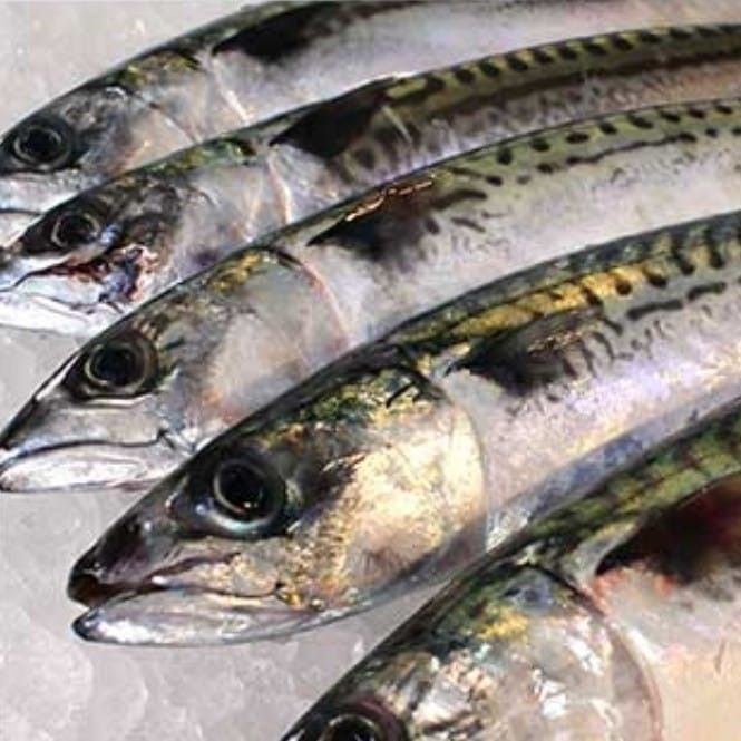 Image 3 for Bailey's Fishmongers