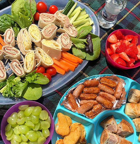 Community Picnic - CANCELED