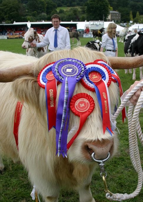 Bakewell Show 2016