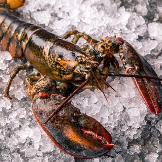 Image 2 for Bailey's Fishmongers