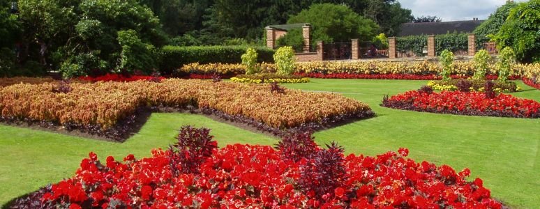 Hydrangea collection at Darley Park