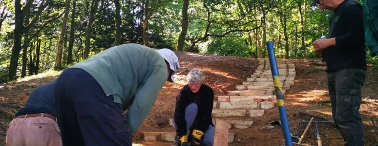new steps