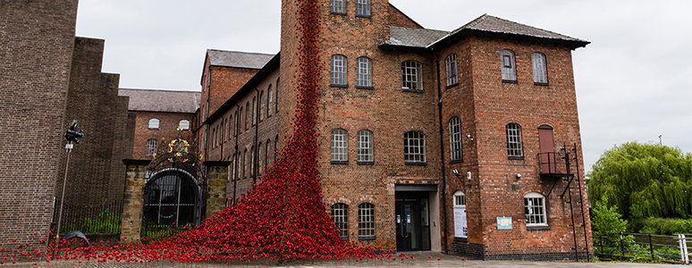 Poppies: Weeping Window