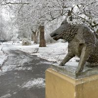 arboretum snow 4.JPG